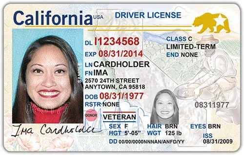 Пример удостоверения с REAL ID. Фото: DHS